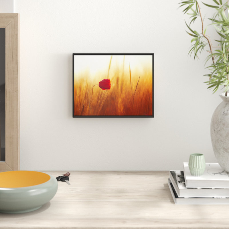 East Urban Home Gerahmtes Wandbild Einzelne rote RoseSonnenlicht